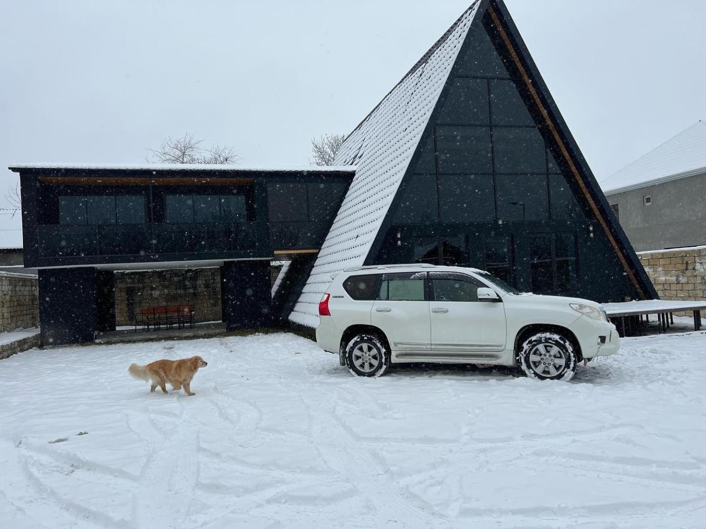 Qafqaz Wood Chalet Gabala Exteriör bild